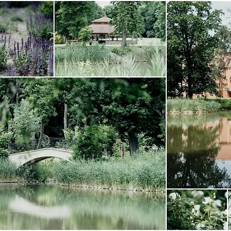 Palac Basen&spa