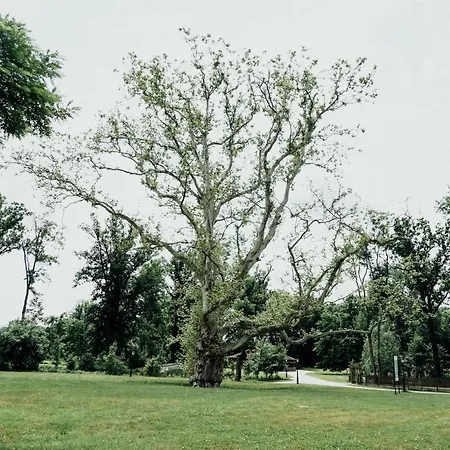 Palac Basen&spa Krotoszyce