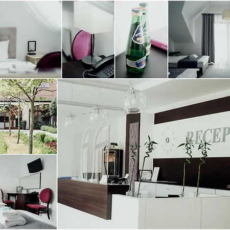 Palac Basen&spa ホテル