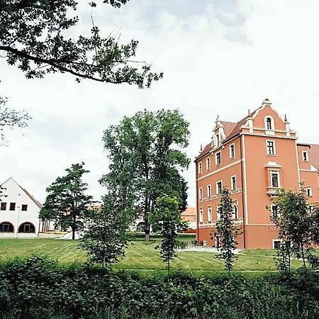 Palac Basen&spa ホテル