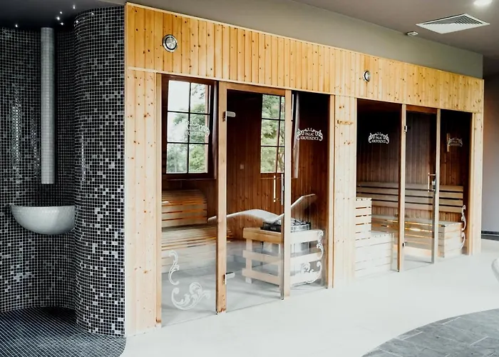 Hotel Palac Basen&spa Krotoszyce