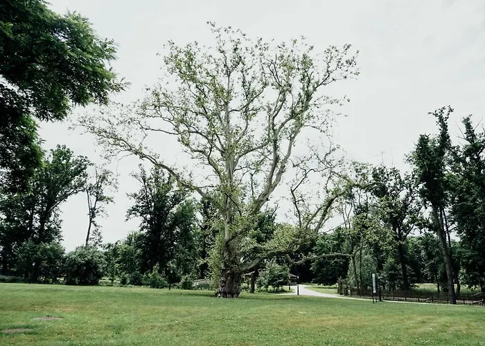 Palac Basen&spa Krotoszyce