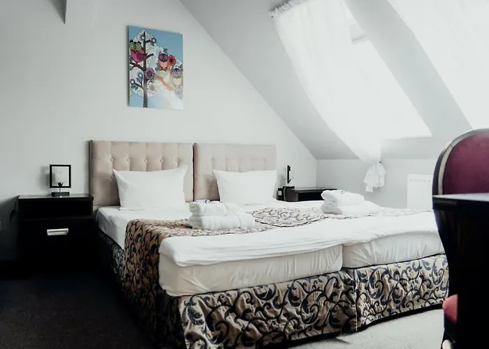 Hotel Palac Basen&spa Krotoszyce